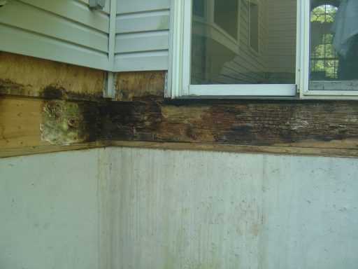 Wood rot and water damage visible at the base of a house near a window.